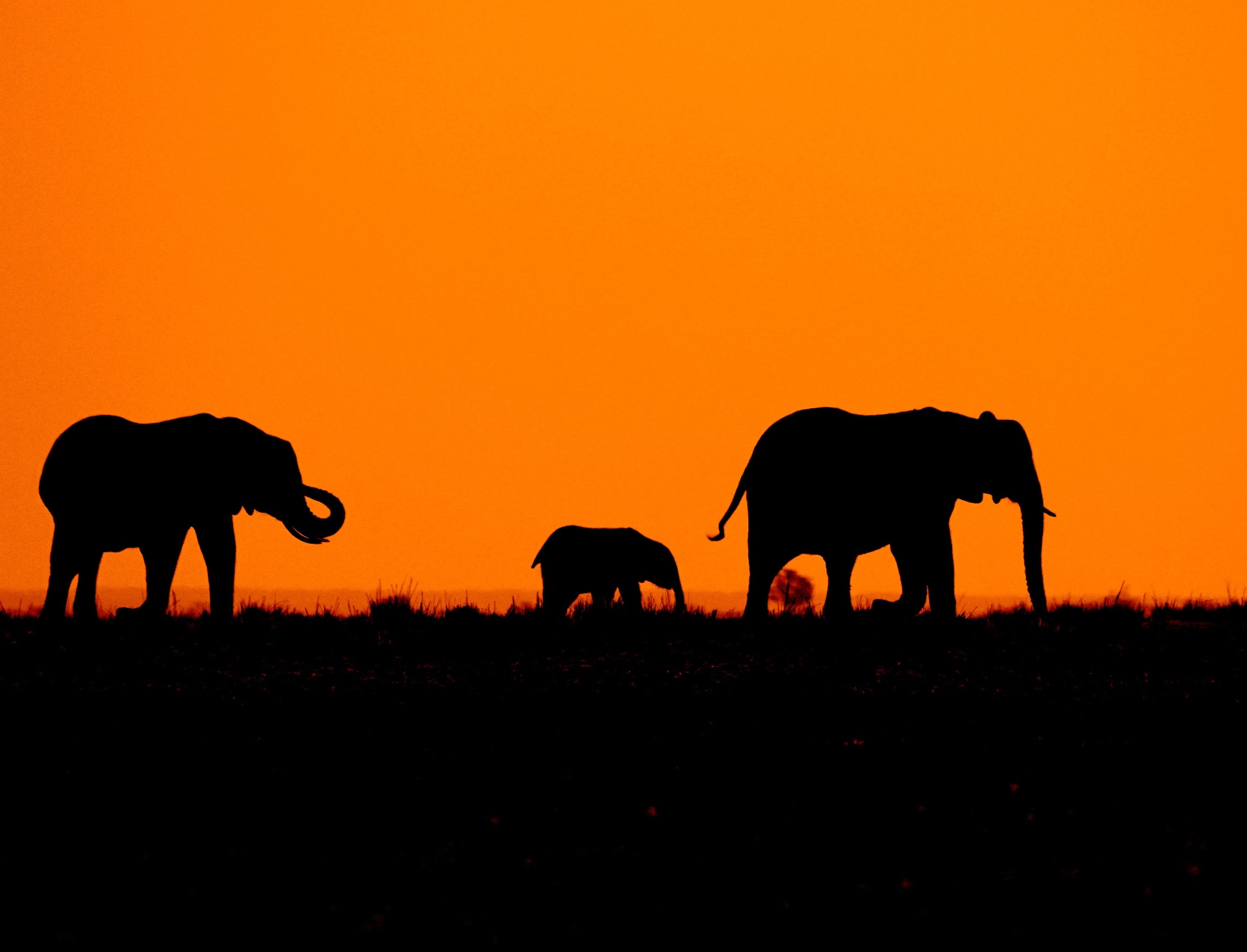 Tanzania