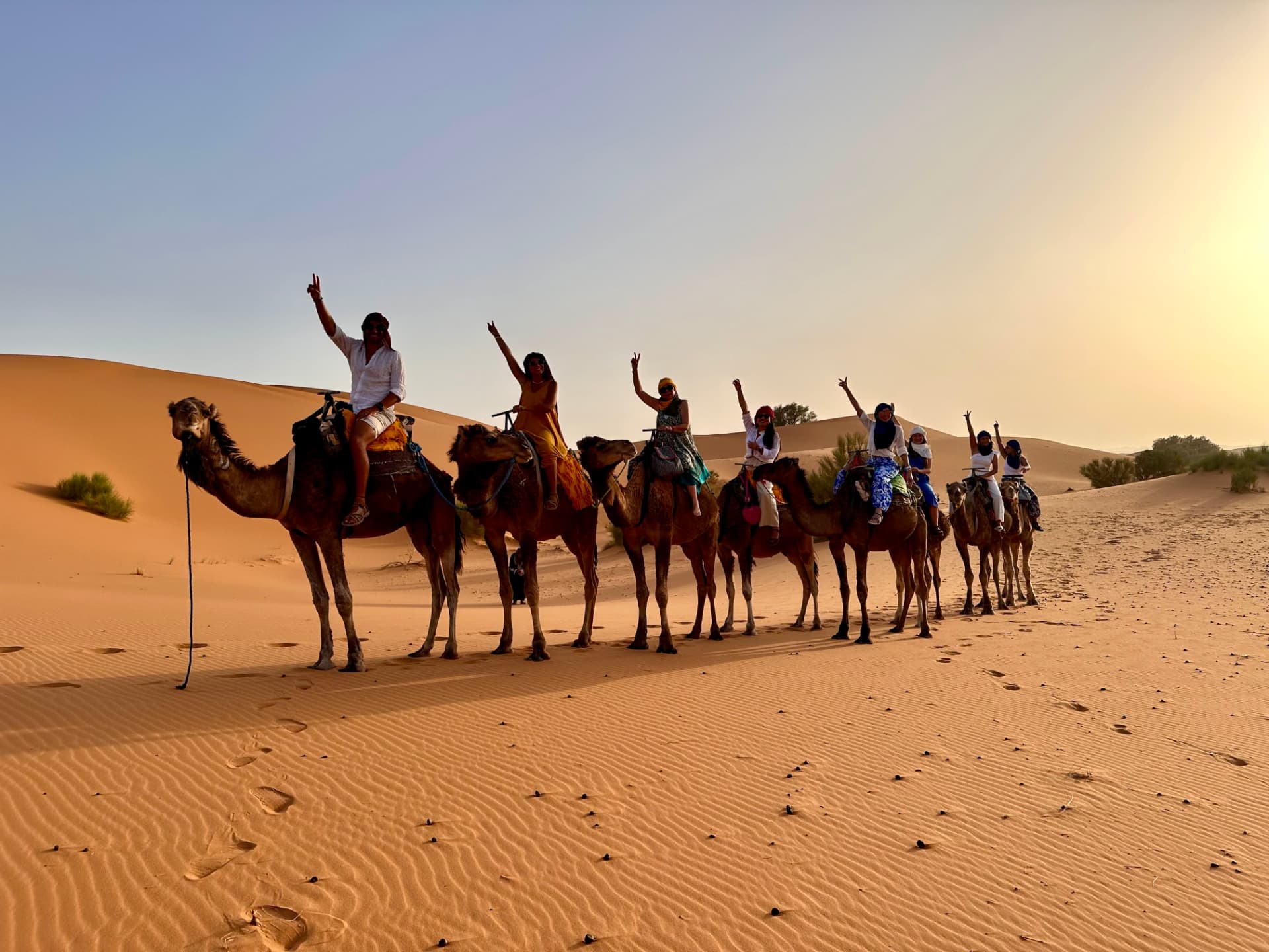Caravana de dromedarios Weppa al atardecer en el Sahara