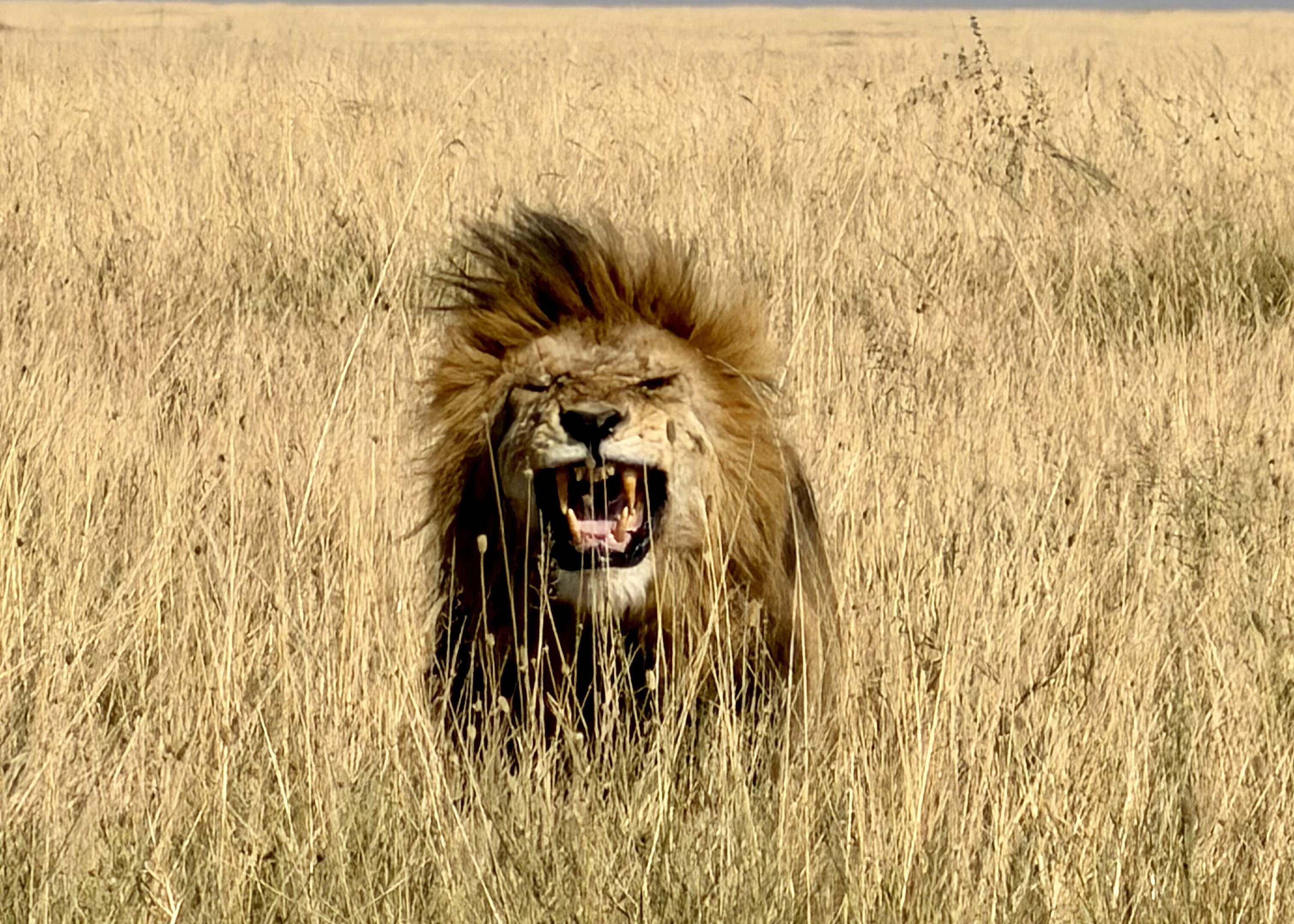 Tanzania 2027