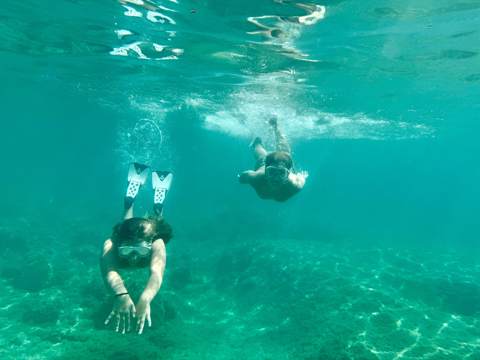 Snorkel en aguas cristalinas de Zanzíbar, Tanzania