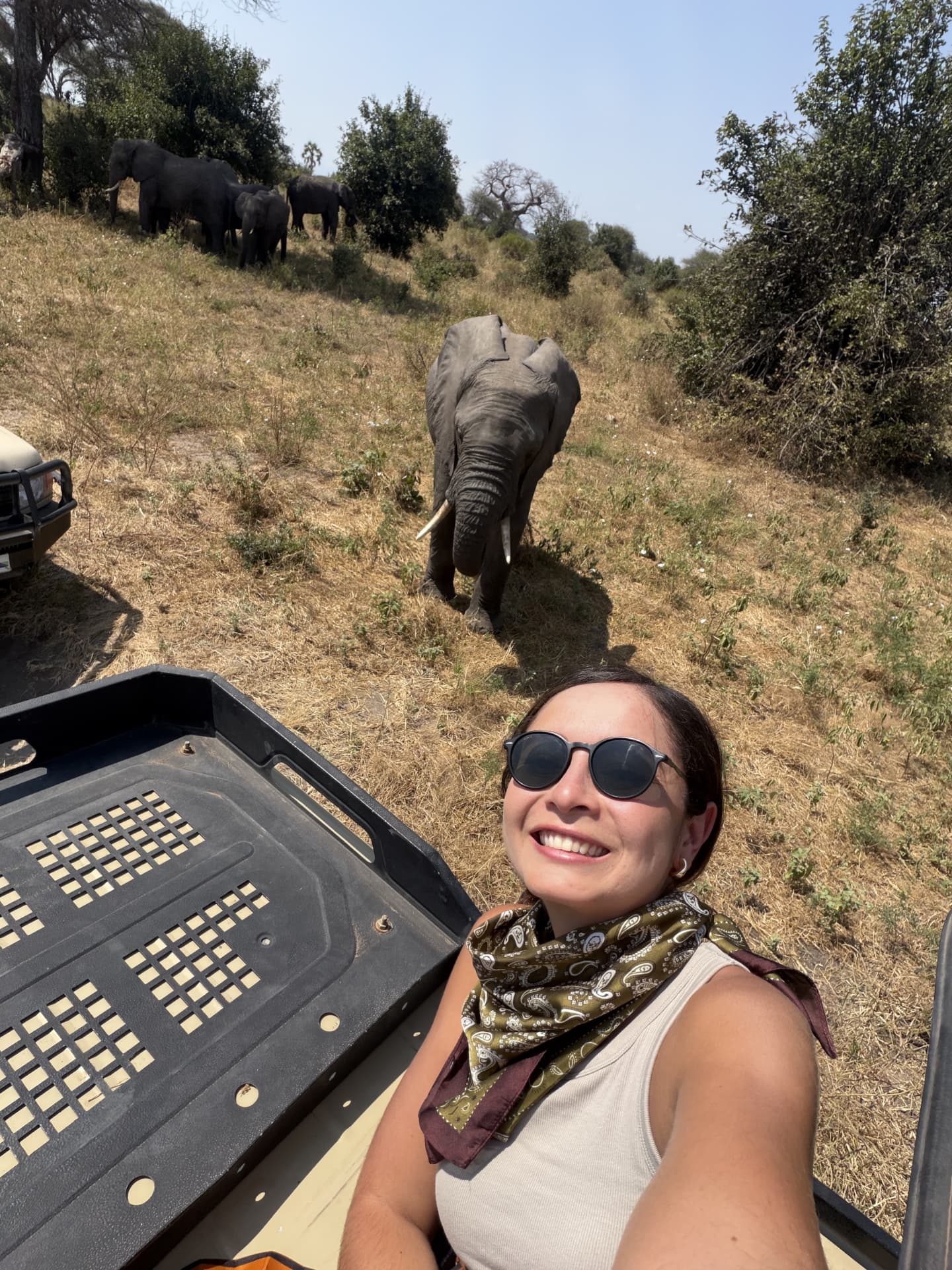 Viajera Weppa haciendo un selfie en el jeep durante un safari con elefantes de fondo, Tanzania