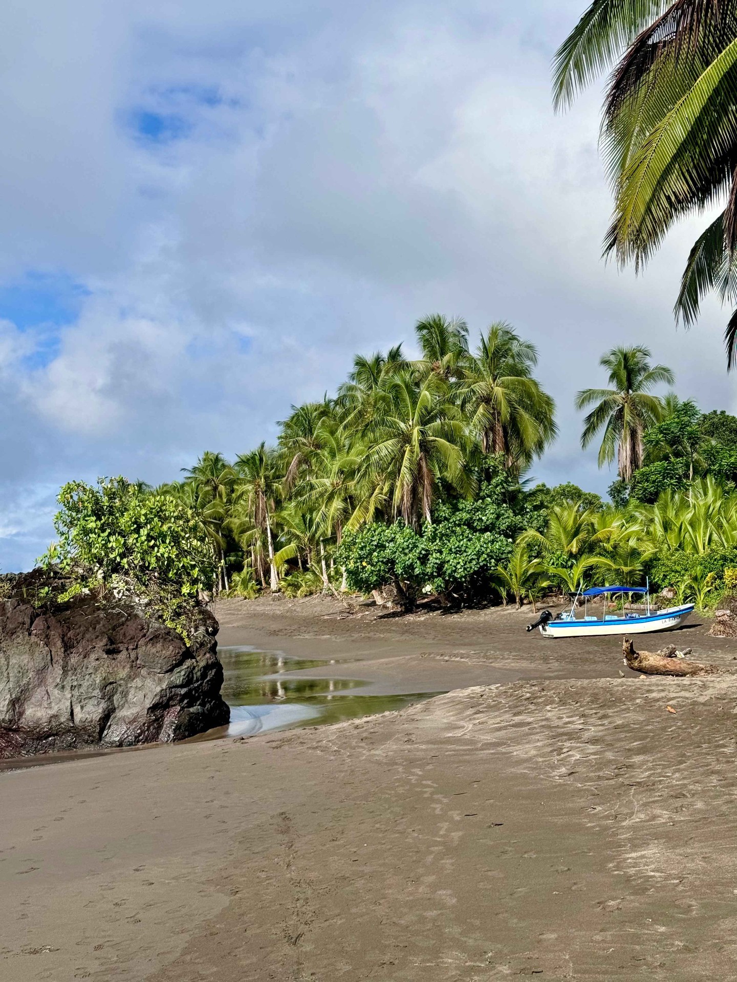 Playa Guachalito con palmeras y arena oscura en Nuquí