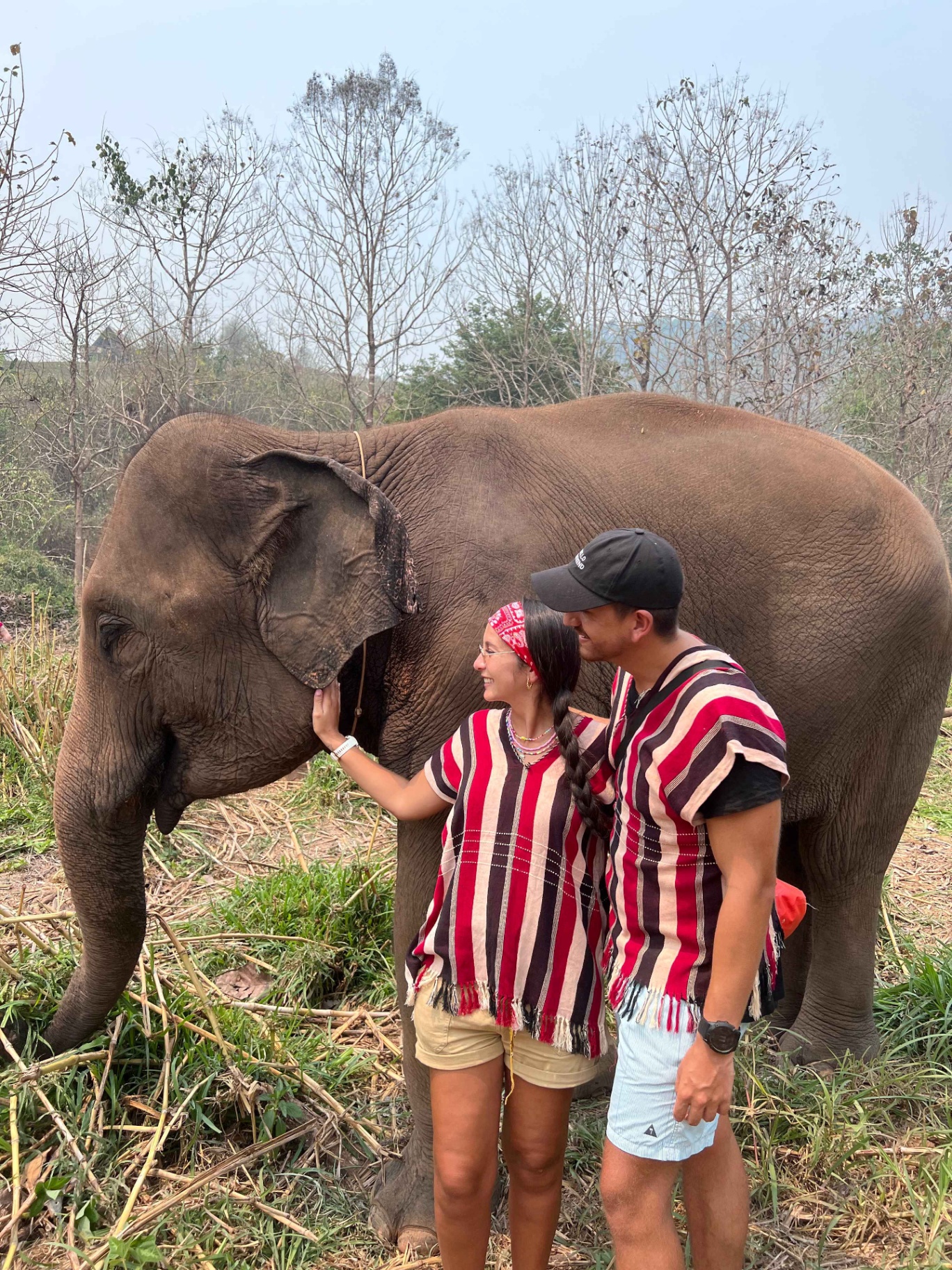 Viajeros Weppa con un elefante en un santuario ético de Chiang Mai